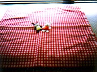 �^�񒆂ɂ��܂�(��)