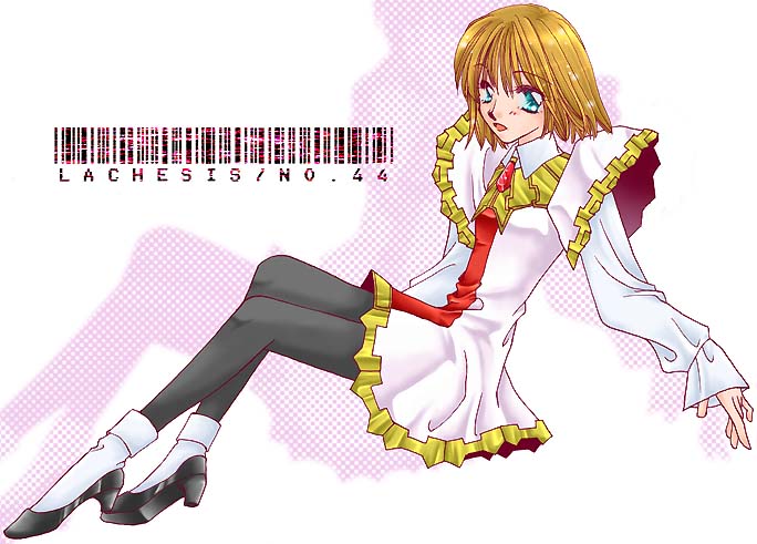 ���L�V�X����